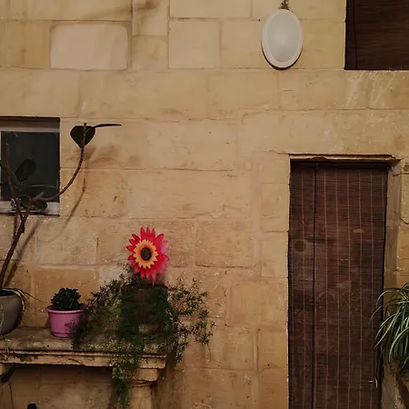 بيت للعطل Stella's House *