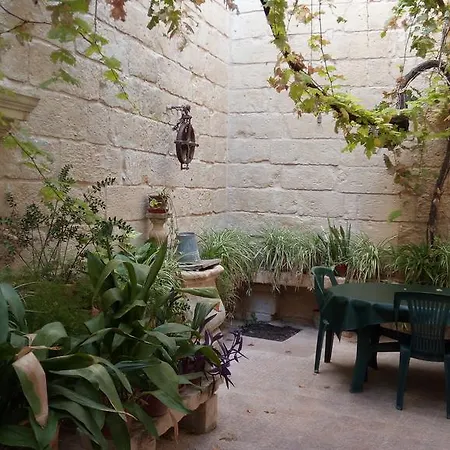Stella's House