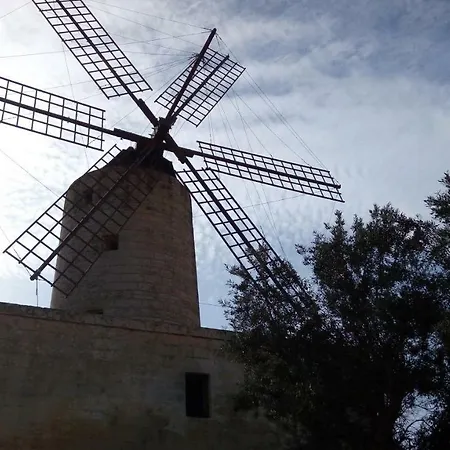 Stella's House * Siggiewi